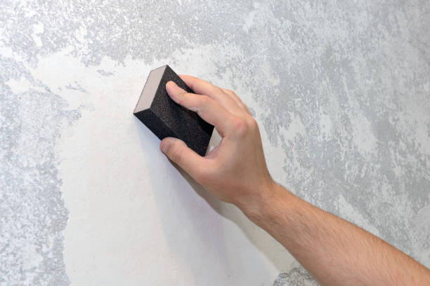Best Mold Prevention Services  in North Zanesville, OH