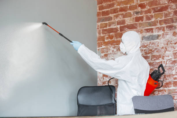 Best Residential Mold Inspection & Testing  in North Zanesville, OH