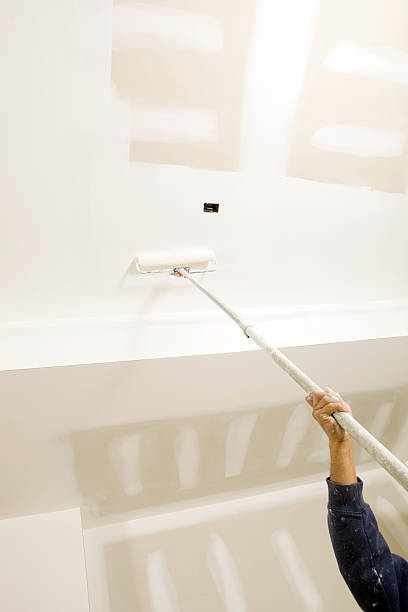Best Mold Remediation for Healthcare Facilities  in North Zanesville, OH