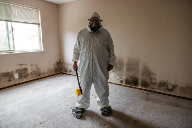 Best Commercial Mold Inspection  in North Zanesville, OH