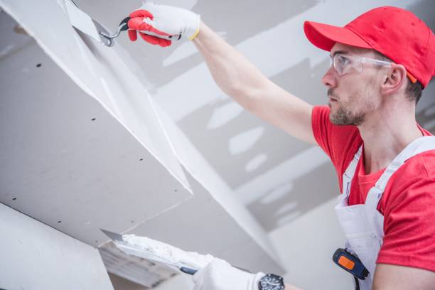 Best Post-Construction Mold Inspection  in North Zanesville, OH